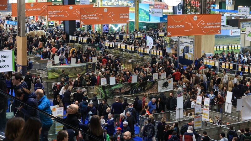 农业出海策略优化：进阶贸易规则与渠道模式