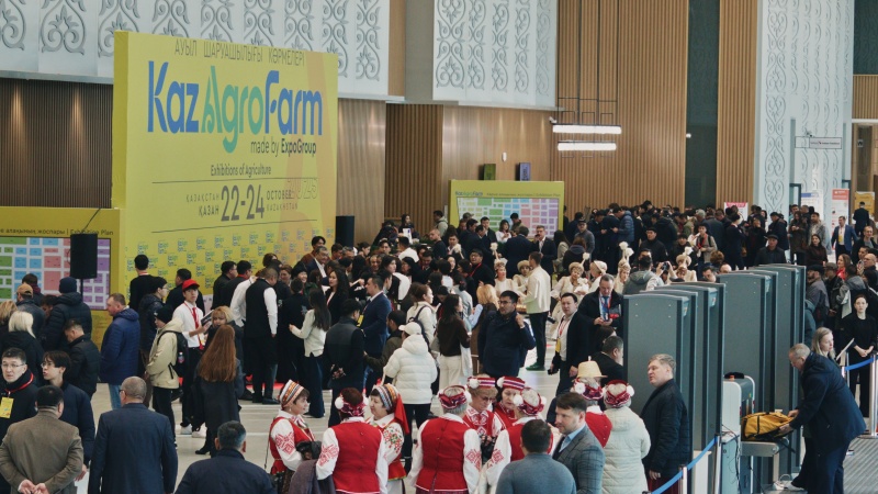 农业出海渠道实战案例：项目制与直销对比经验