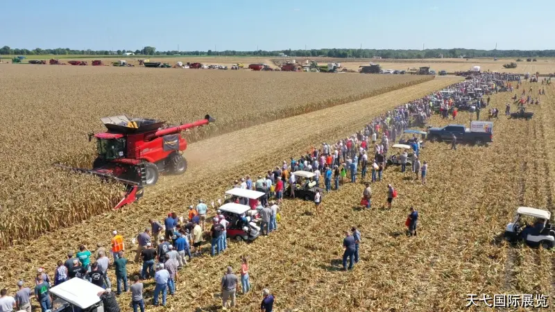 客户决策链